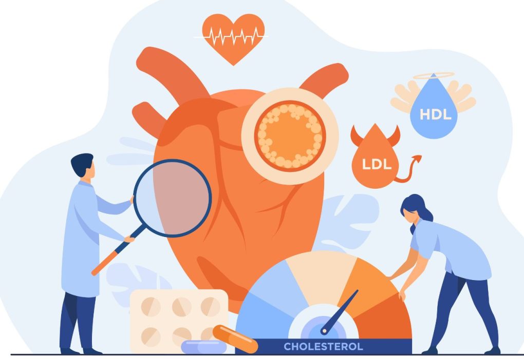 What Your Cholesterol Numbers Actually Mean And When You Should Start Checking Them